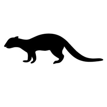 Marten silhouette vector. Forest mammal ferret icon. Isolated on a white background. Great for retro logos and animal logos vector