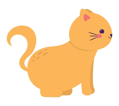 cute colorful cat vector