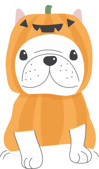 cute french bulldog dog in Halloween costume flat style png