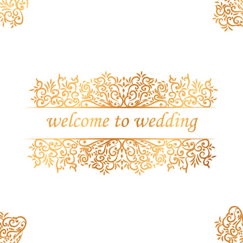 Beautiful vintage vector decorative elements and ornaments design