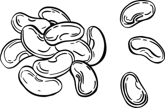 Beans set. Collection icon beans. Vector. Vector illustration