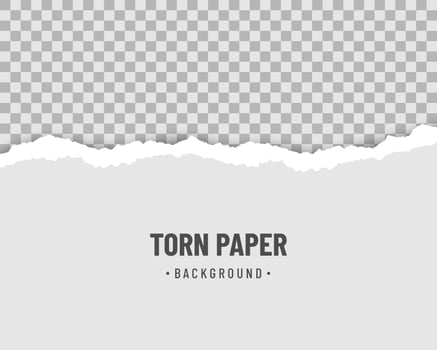 Ripped paper horizontal with soft shadow vector
