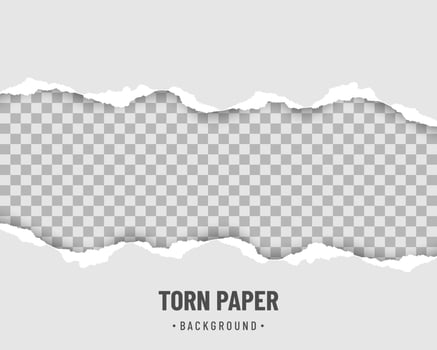 Horizontal pieces of torn paper edge with soft shadow vector