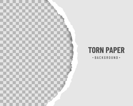 Ripped paper rounded with soft shadow vector