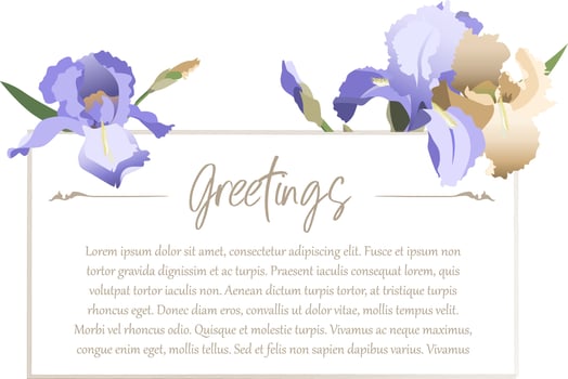 Greeting card design template with blue iris flowers, copy space included vector