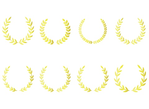 laurel wreath vector design illustration isolated on white background