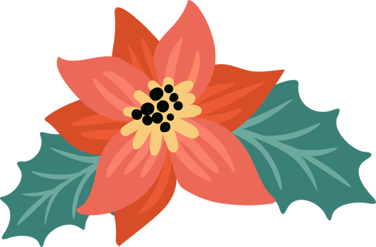 Floral element. Flower Poinsettia png