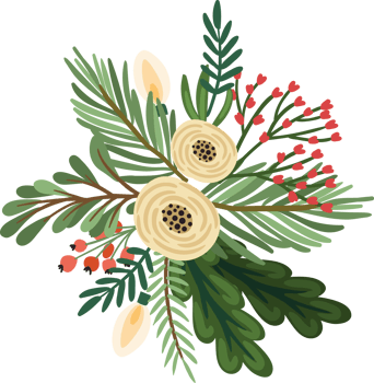 Christmas flowers. Isolated illustration. png