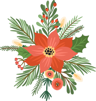 Christmas flowers. Isolated illustration. png