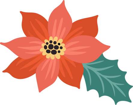 Floral element. Flower Poinsettia png