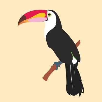 Vector image of a bright tropical Toucan bird on a floral background. Colorful icon of tropical nature.