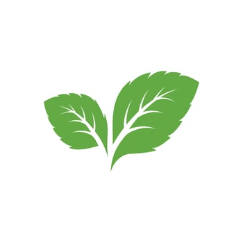Mint leaves icons. Leaf vector illustration. Green mint leaves ecology nature element vector icon, Leaf Icon, mint leaves logo vector illustration