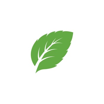 Mint leaves icons. Leaf vector illustration. Green mint leaves ecology nature element vector icon, Leaf Icon, mint leaves logo vector illustration