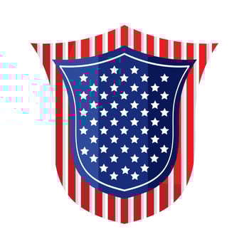 usa flag in shield vector