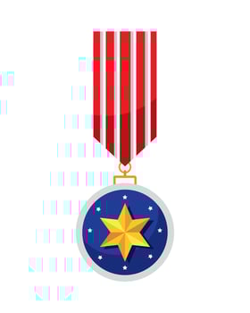 usa flag in medal vector