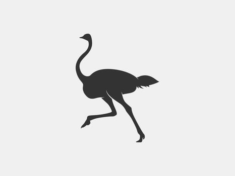 ostrich vector silhouette
