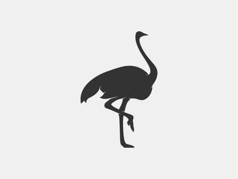 ostrich vector silhouette