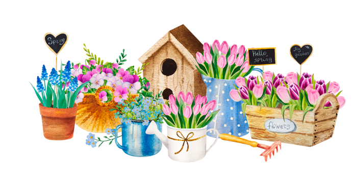watercolor set of spring flower bouqets in cup, jug and wooden box, birdhouse png