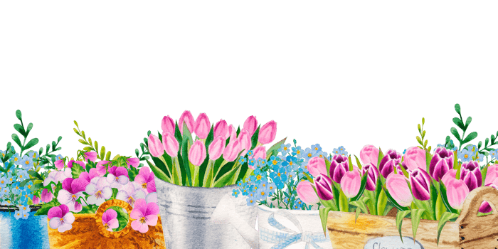 watercolor banner of spring flower bouqets in cup, jug and wooden box, birdhouse png