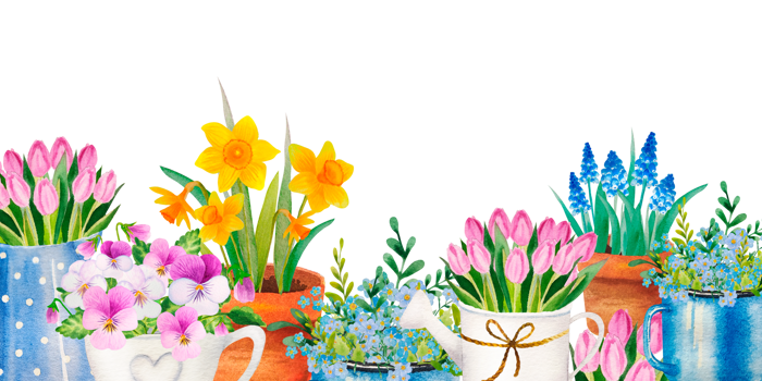 watercolor banner of spring flower bouqets in cup, jug and wooden box, birdhouse png