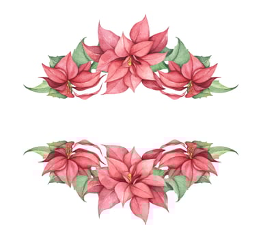 Set of Red Christmas poinsettia flowers. Watercolor illustration. vector