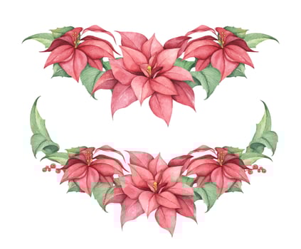 Set of Red Christmas poinsettia flowers. Watercolor illustration. vector