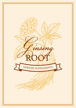 Hand drawn ginseng packaging design. Botanical vector illustration in sketch style