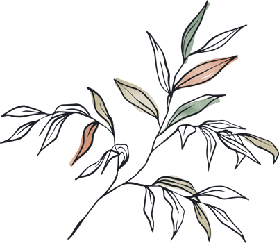 Leaf Watercolor Line Illustration png