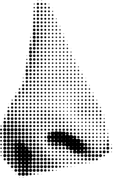 collage nose element png