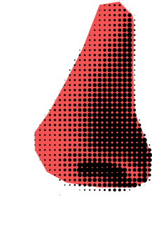 collage nose element png