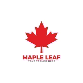 Maple leaf logo design vector