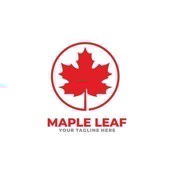 Maple leaf logo design vector