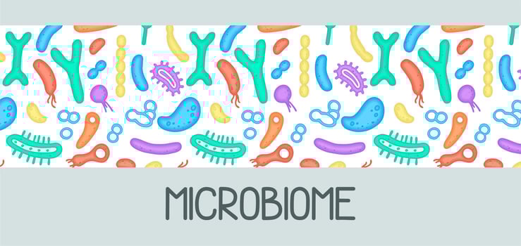 Microbiome illustration of bacteria. Vector image. Gastroenterologist. Bifidobacteria, lactobacilli. Lactic acid bacteria. Illustration in a flat style.