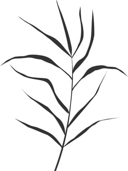 Image of a green reed or bulrush on a white background.Isolated vector drawing.