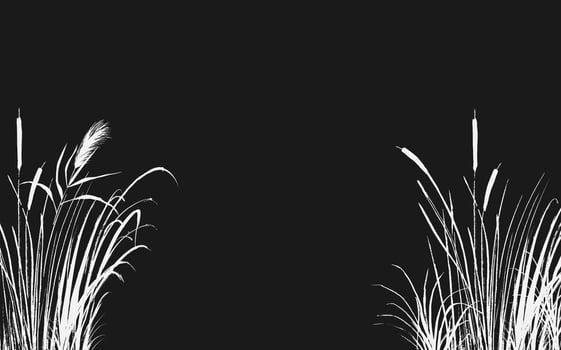 Image of a green reed or bulrush on a white background.Isolated vector drawing.