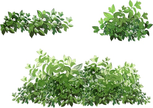 Set of ornamental green plant in the form of a hedge.Realistic garden shrub, seasonal bush, boxwood, tree crown bush foliage. vector