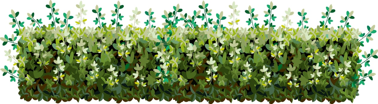 Set of ornamental green plant in the form of a hedge.Realistic garden shrub, seasonal bush, boxwood, tree crown bush foliage. vector