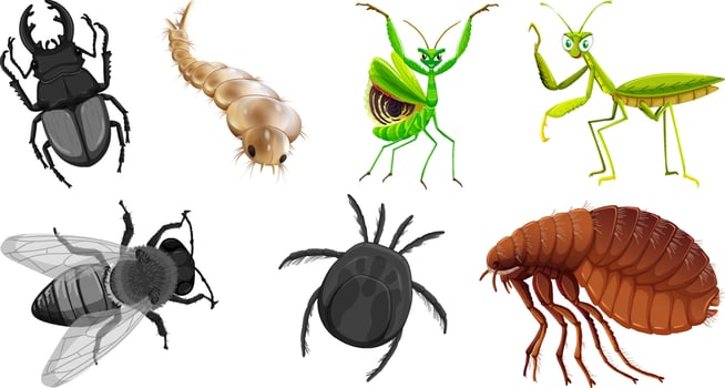 Set of different kinds of insects vector