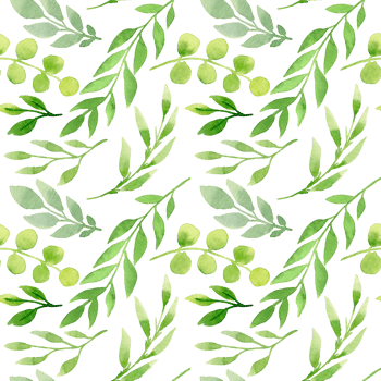Spring watercolor seamless pattern. Botanical background with eucalyptus, branches and leaves. Greenery illustration. Floral Design. Perfect for invitations, wrapping paper, textile, fabric, packing png