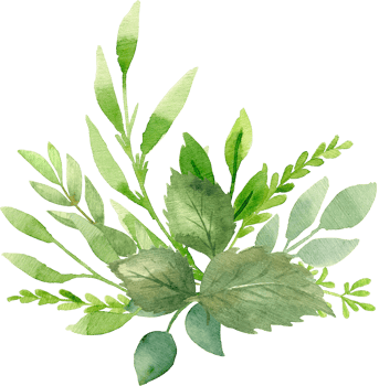 Greenery bouquet with eucalyptus, spring leaves and branches. Botanical Watercolor illustration. Floral Design elements. Perfect for wedding invitations, greeting cards, prints, packing, posters png