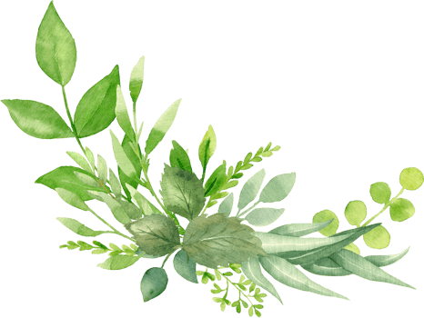 Greenery bouquet with eucalyptus, spring leaves and branches. Botanical Watercolor illustration. Floral Design elements. Perfect for wedding invitations, greeting cards, prints, packing, posters png