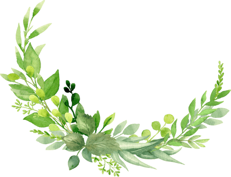 Botanical Watercolor illustration. Greenery wreath with eucalyptus, spring leaves and branches. Floral Design elements. Perfect for wedding invitations, greeting cards, prints, packing, posters png