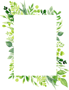 Watercolor illustration. Botanical greenery label. Green leaves and branches. Floral Design elements. Perfect for wedding invitations, greeting cards, prints, posters, packing png
