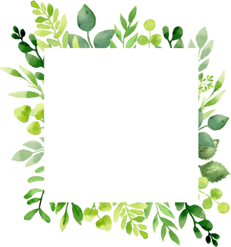 Greenery summer frame with green leaves and branches. Hand drawing botanical illustration. Floral Design elements. Perfect for wedding invitations, greeting cards, prints, packing, posters and more png