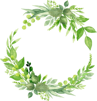 Greenery summer wreath with green leaves and branches. Hand drawing botanical illustration. Floral Design elements. Perfect for wedding invitations, greeting cards, prints, packing, posters and more png