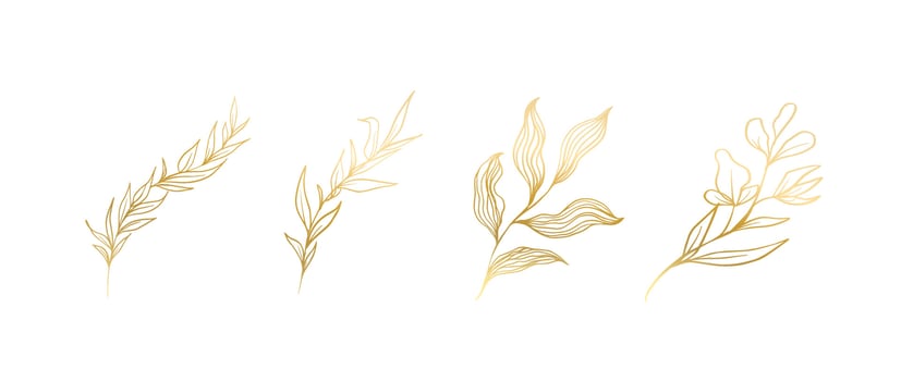 Golden leaves line art. Luxury flowers and leaves decoration elements for invitation and flyer design. Nature tropical art vector illustration