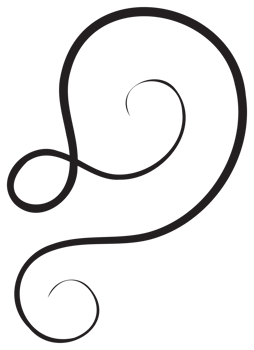 Calligraphic design element with black thin line. PNG with transparent background.
