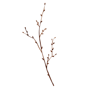 Watercolor birch spring brunch png