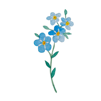 Watercolor blue spring flowers png