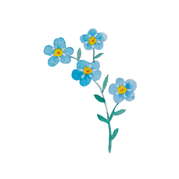 Watercolor blue spring flowers png